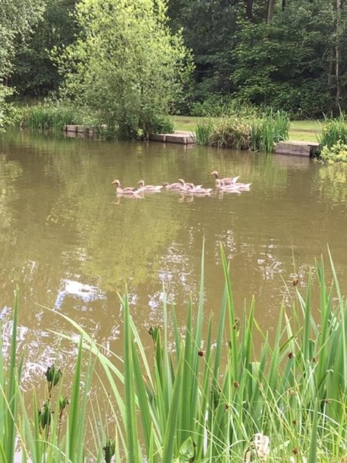 Hollicarrs Holiday Park - Hares Leap Riccall Eksteriør bilde